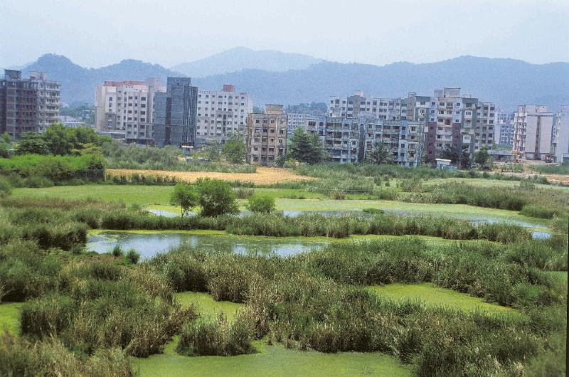 पर्यावरण संबंधी नियमों में ढिलाई का प्रस्ताव