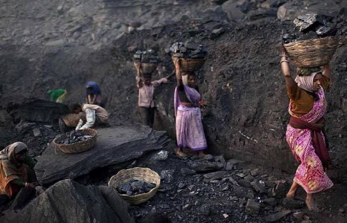 कोयला खानों की नीलामी से उठे सवाल