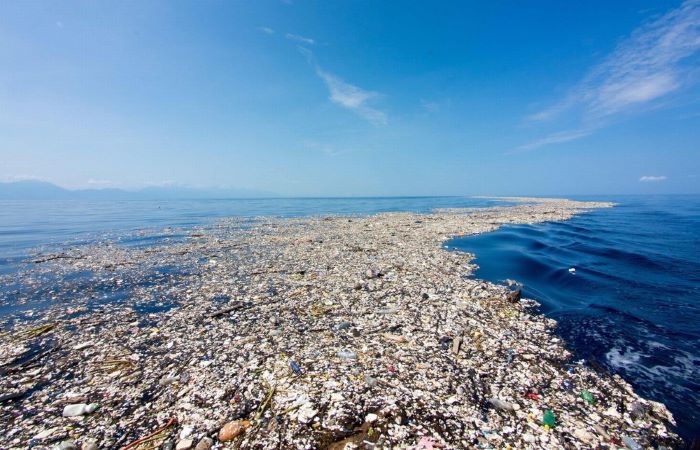 कैसे न बढ़े प्लास्टिक प्रदूषण बैंक कर रहे हैं उसका वित्त पोषण?