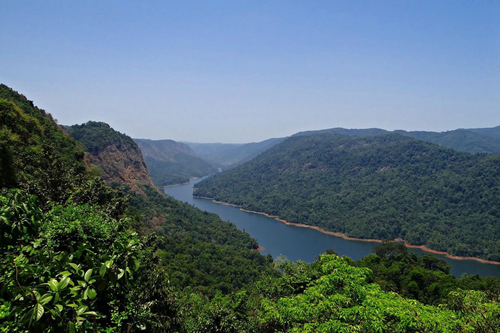 [विश्लेषण] अंधाधुंध हो रही जंगलों की कटाई लेकिन इसकी वित्तीय कीमत बढ़ाने को लेकर परहेज