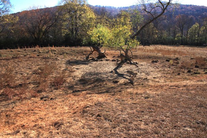 भारत में सूखे का संकट, खाद्य सुरक्षा को खतरा