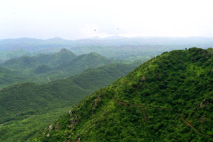 साल 2025: खबरें जिनसे बंधी उम्मीद