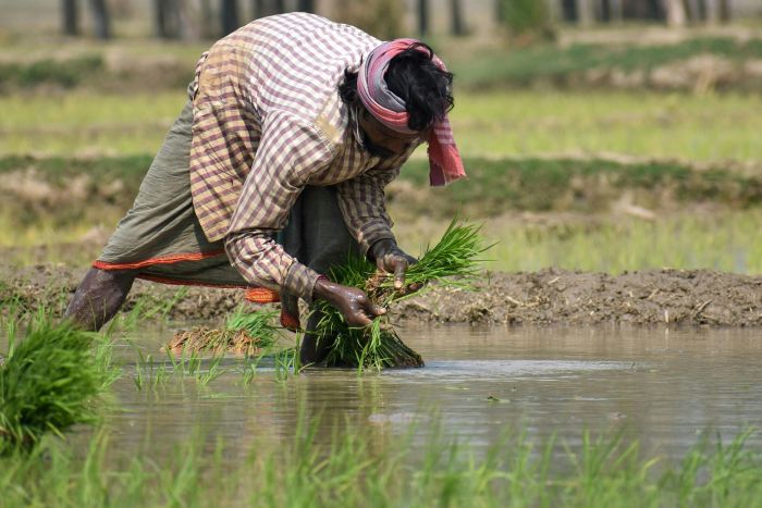 ट्रेड डील पर अनिश्चितता के बीच क्या किसानों की आय बढ़ा सकता है हाइब्रिड मॉडल?